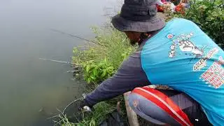Angler P2BG Mancing Bandeng meronta-ronta, Gacor Abis