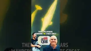 🎙️ Winnipeg Legend Hal Anderson with 680 CJOB  x Days on Land