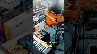TC Helicon Play Acoustic Vocal Effects Testing best for busker & busking / Bohemian Rhapsody