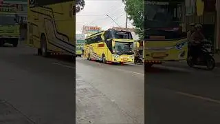 Tiger Bus Pariwisata #bus #basuri #busmania #telolet #buspariwisata #shorts #shortvideo #shortsvideo
