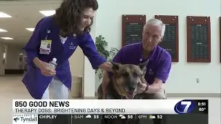 850 GOOD NEWS: Therapy dogs bring more than just comfort to hospital staff and patients