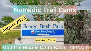 August videos from the Moultrie Delta Base Trail Cam
