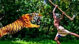Brave Boy Fights Tiger With Axe &ndash; Realistic Tiger Attack Survival!