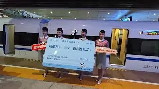 Direct high-speed railway put into service to link Chengdu, Hong Kong