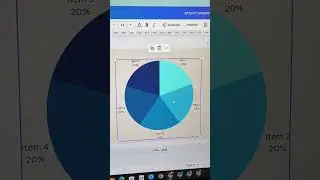 How to make charts on Canva!