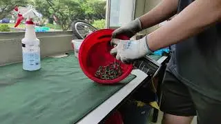 Brompton Cleaning & Servicing Programme