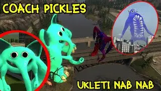 Ukleti Nab Nab Je Napao COACH PICKLESA I OVO SE DESILO