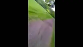L&ouml;pande inventering av f&aring;glar i P&aring;lsj&ouml; skog 25/5 II