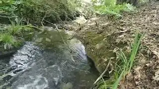 SATILDI...14.100 m2 tarla-47.000.Suyu bol,Çeşme ve dere.Orman içinde.Balıkesir Gönen