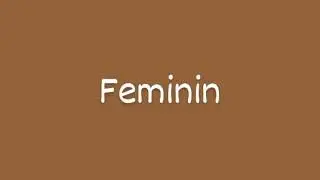 pr&eacute;sentation sur la description des artistes en fran&ccedil;ais entre masculin et f&eacute;minin