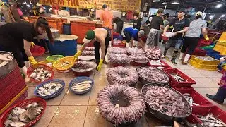 cá vô nước nhiều quá xổ rẻ luôn
