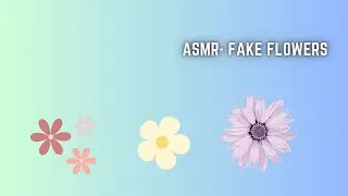 ASMR- Fake Flowers