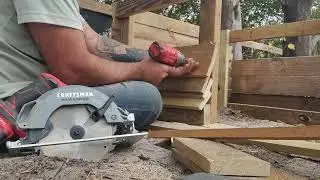 Building Dojo the sulcutta tortoise a winter home