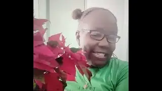 Vlogmas Day 20- Getting ready for Christmas