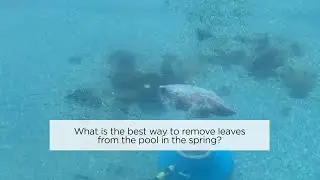 What is the best way to remove leaves from the pool in the spring?