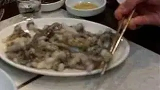 Octopussy II