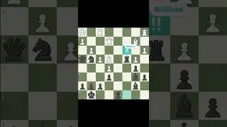 Akiba Rubinstein Immortal Game!! #chess #brilliantmove #shorts