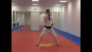 Taekwondo Examen Naranja Programa Obligatorio UN