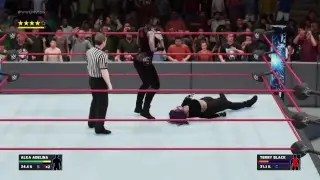 WWE Payback
