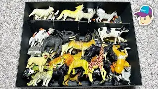 BIG BOX OF 3D ANIMAL PUZZLE - Lion Elephant Pig Bear Tiger