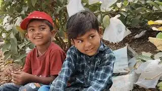चिवळ्या च्या डब्यातली भाजी#शेतकरी #कामगार 