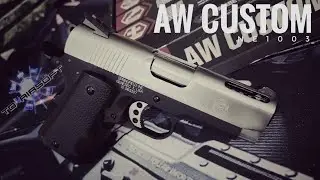 [TDAG] Aw Custom NE1003