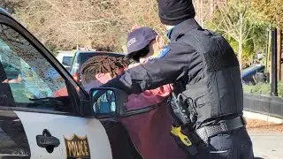 Virtual Ride Along: Stolen Tesla Pursuit Suspect Taken Down by K-9