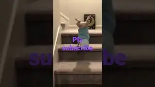 wee wee memes cat viral # more