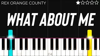 Rex Orange County - What About Me | EASY Piano Tutorial