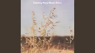 Charming Moods for Calming Moments