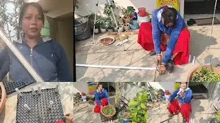 Drain cell Mat | Uses and Benefits of Drain cell Mat for Terrace Garden |