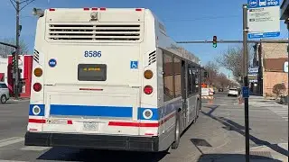 CTA 2023 Nova LFS Bus #8586 On Rt 157 Streetville/Taylor