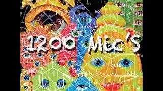 1200 MIC  S