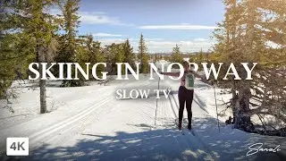 37 min of Beautiful skiing in Norway - 4K Slow TV