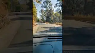 on the way to murre #short vid#short clips #nature