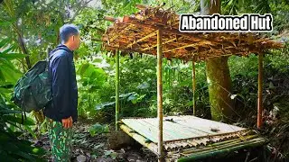Restoring an Abandoned Bamboo Shelter & Cooking Wild Food | Jungle Survival