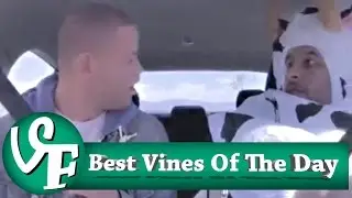 Best Vines Of The Day | November the 13th 2015