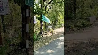 Chintoor Y Junction Road | Forest area | VijayKumar Allupeddinti