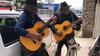 Solo solito (Sentimientos del Valle SDV)