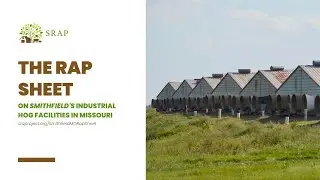 Smithfield Rap Sheet Exposes Decades of Factory Farm Pollution in Missouri