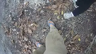 7) Action Non Violente (visite de Peiro et sa Garde Rapproch&eacute;e) du 01/11/2018