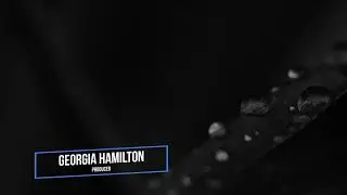 Modern Lower Thirds | Motion Graphics Templates - Motion Array
