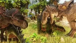 Paleo Ark （evo rex）Attack speed test