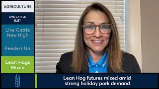 Cattle futures rally on strong demand. Lean Hog futures mixed. 4/23/25