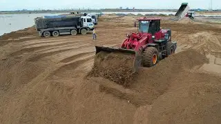 Dump Truck HYUNDAI Transport Land Sand +Weeloader SDLG And MATADOR Pushing Sand