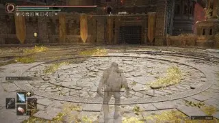 ELDEN RING patch 1.13 inescapable Frenzy BUG!!!