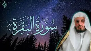 Baqarah_SG_Salam Asia.mp4