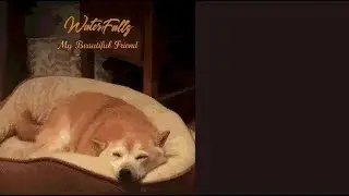 Waterfallz - My Beautiful Friend [Lyric Video]