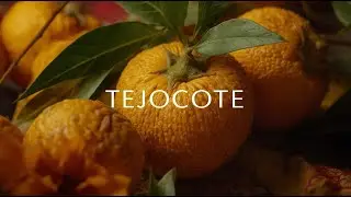 &ldquo;The Secret Power of Tejocote: Mexico&rsquo;s Ancient Superfruit Explained&rdquo;