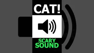 Gatto spaventoso che miagola nel buio - effetto sonoro #sounds #cat #scary